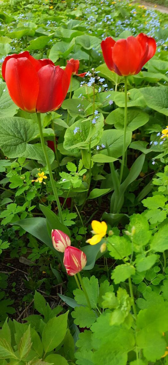 Приятно видеть живую природу в таком особом городе.