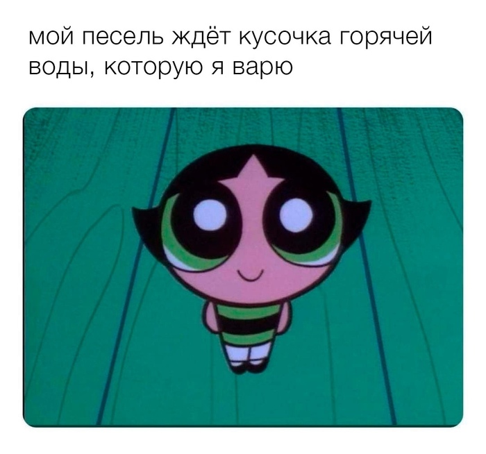 � ����� ���� ��