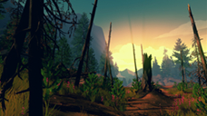 Firewatch. My opinion - My, Games, Torrent, Offline, Plot, The ending, Longpost