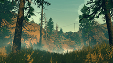 Firewatch. My opinion - My, Games, Torrent, Offline, Plot, The ending, Longpost