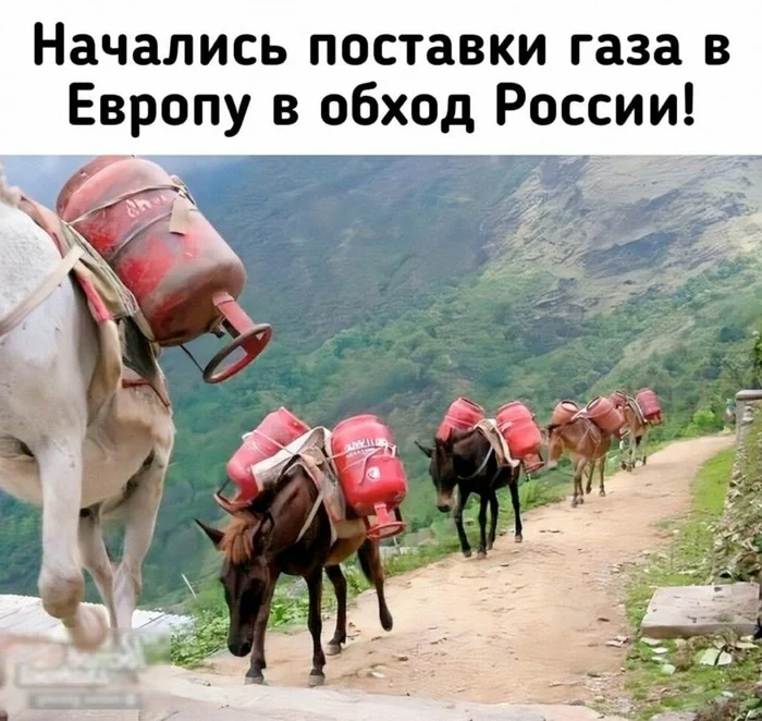 European version - Europe, Gas, Nord Stream-2, Donkey, European Union, Sanctions, Politics, Picture with text, Humor