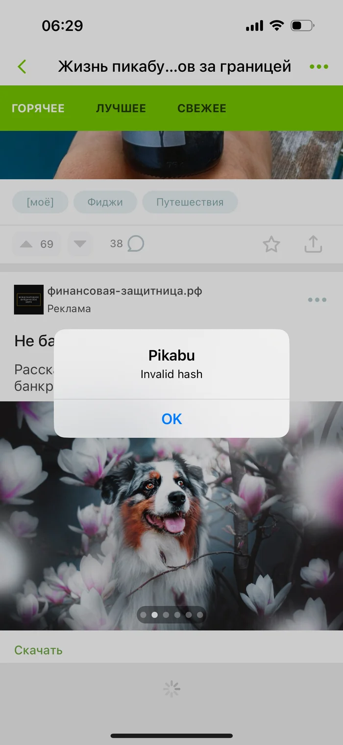 Pikabu is broken on iPhone - My, Peekaboo, iPhone, Does not work, Longpost