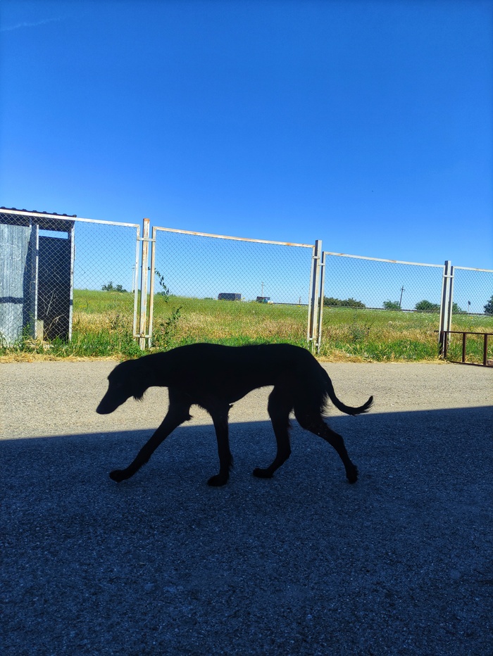 � ��� ������ �� �����������!