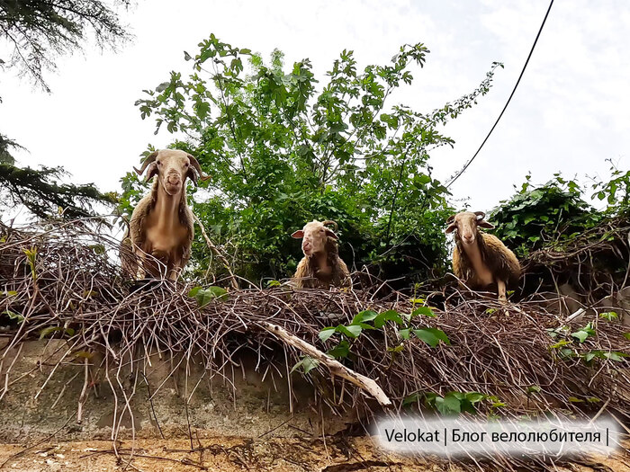 � ����� �����, ��� ����� ������ �� ��� �����, ����� �� ��������� ��� ������� :)