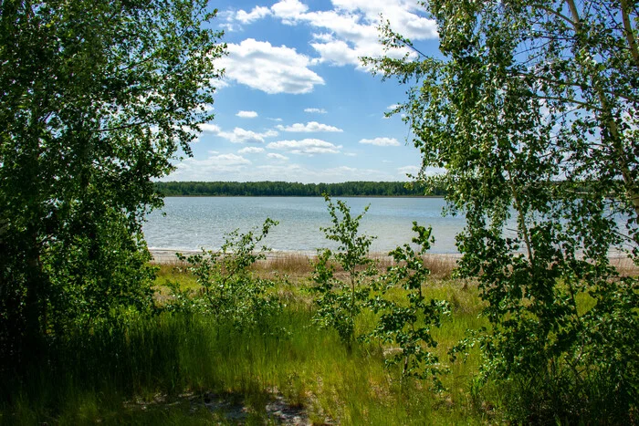 Forest Lake - My, Bike ride, Nature, The photo, Forest, Lake, Camping, Leisure, Longpost