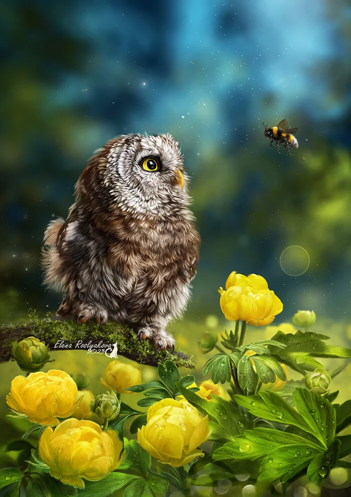 After the rain - Art, Drawing, Owl, Bees, Flowers