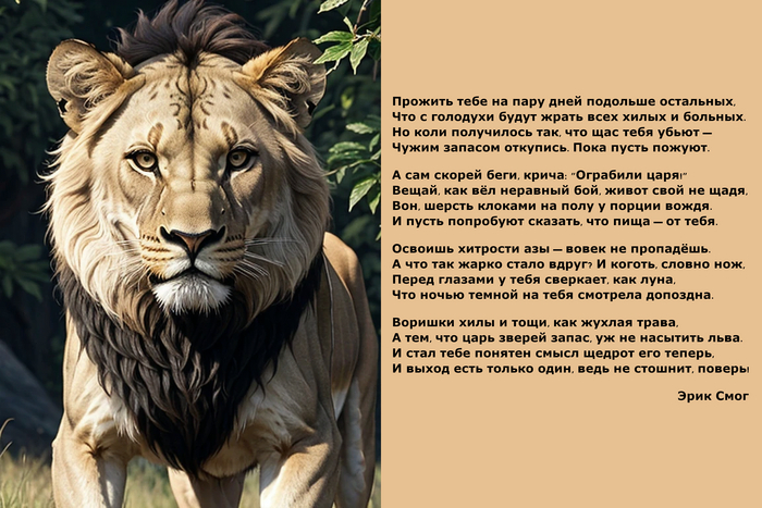      ,      )    ,        ,   )))