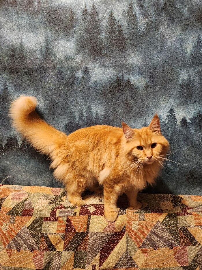   -   .     ,    . , ,   .     .