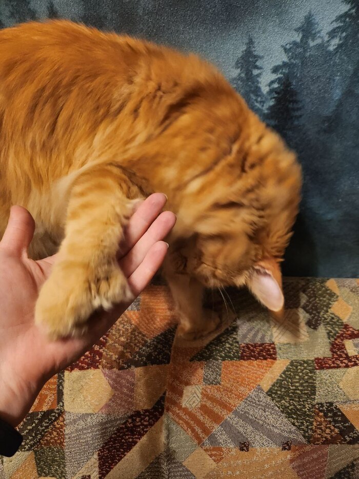     .   ,    ,           .   ,     .      .