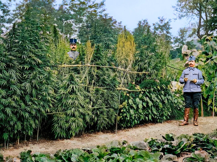 Осколки истории : Интересные и редкие ретро-фотографии Европы. 20 раскрашенных фотографий ХХ века. Часть III Колоризация, Старое фото, Историческое фото, Фотография, Европа, 20 век, 19 век, Норвегия, Франция, Дания, Великобритания, Германия, Длиннопост