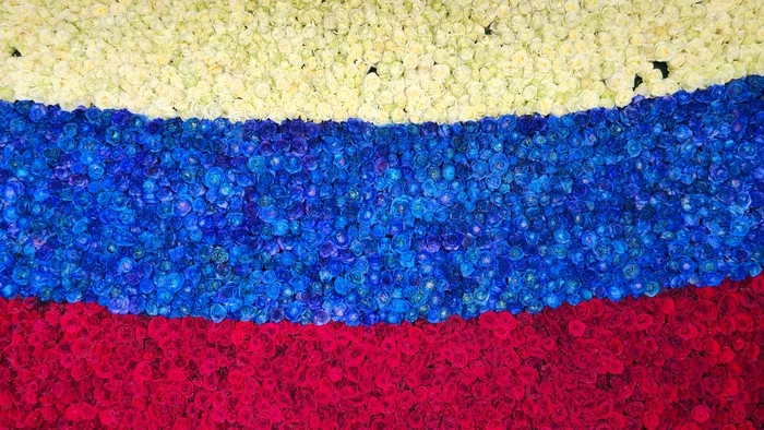 Country flag of 20 thousand roses | Russia Day in Krasnodar - My, news, Russia, Russia Day, Краснодарский Край, Krasnodar, Events, Hymn, Flag, Holidays, Video, Youtube