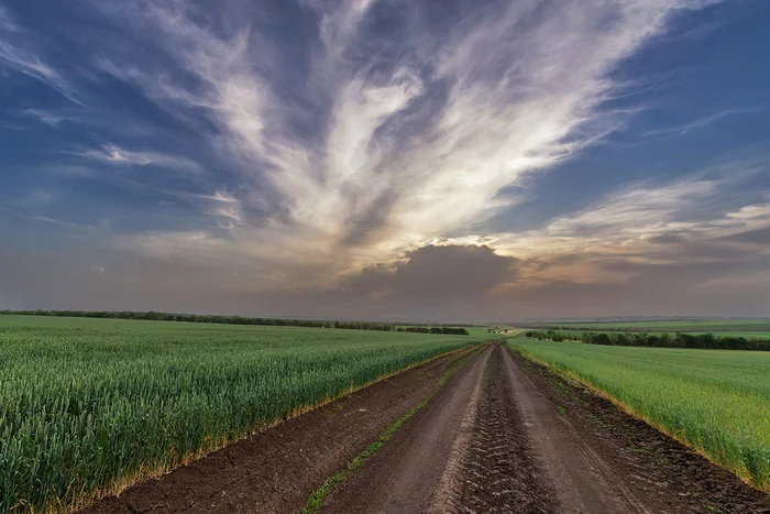Road to sunset - My, Field, Сельское хозяйство, Rostov region, Steppe, The photo
