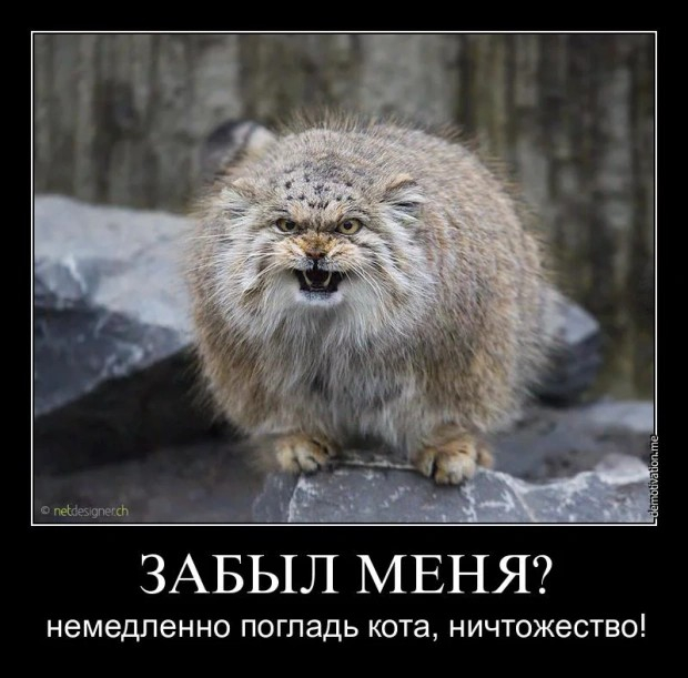 Demotivators - Images, Picture with text, Memes, Humor, История России, Life stories, Demotivator, Sad humor, Hardened, Irony, Old games and memes, Nostalgia, Sarcasm, Age, Joke