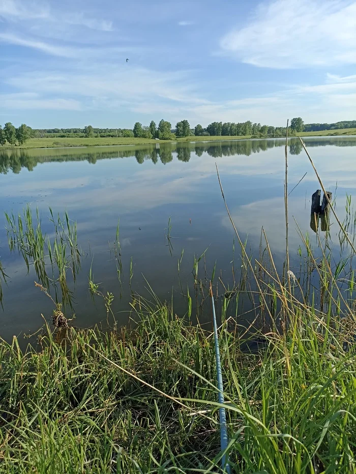 Fishing - My, Nature, Silence, Longpost, Fishing, The photo