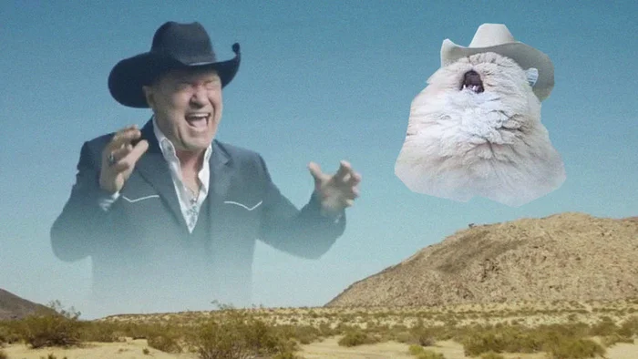 Screaming cowboy and cat (history of the 2018 meme) - Humor, Images, Memes, Picture with text, History (science), Old games and memes, Demotivator, Hardened, Caricature, Sad humor, Expectation and reality
