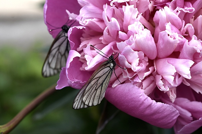 вечер. приготовились ко сну)