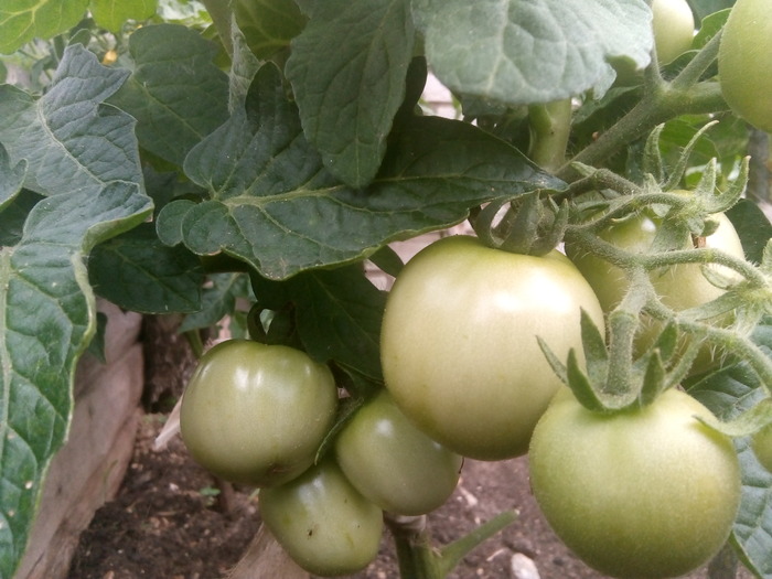 � �����.