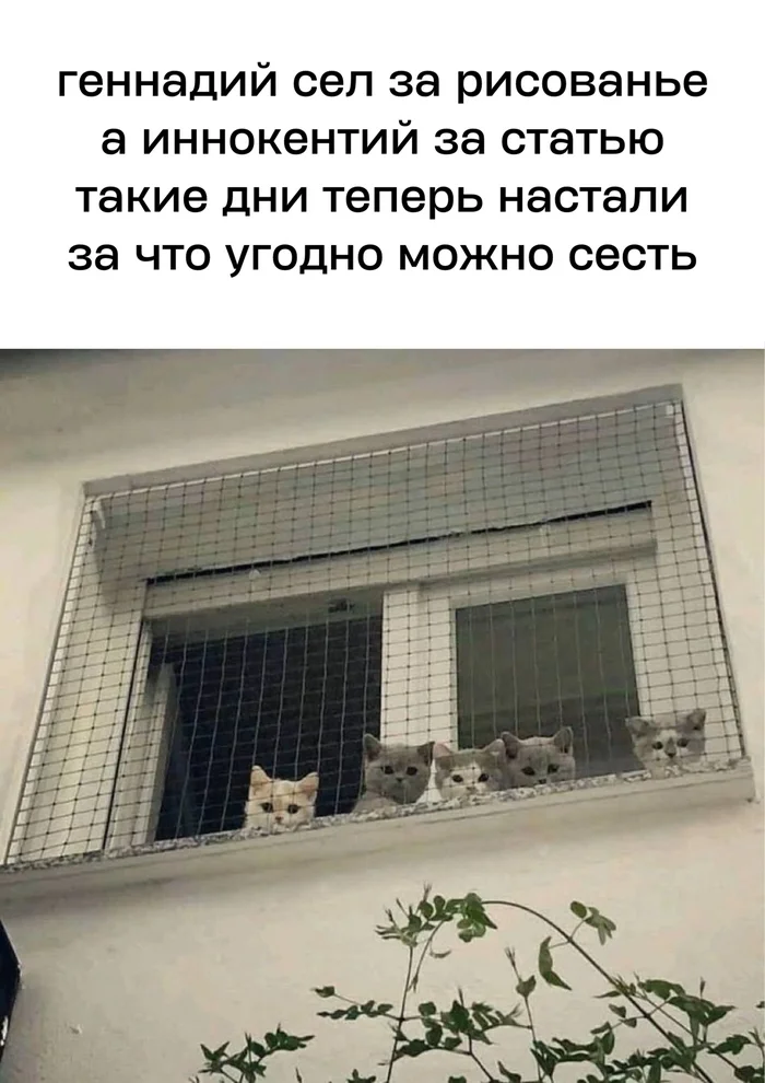 In the house - Picture with text, Kittens