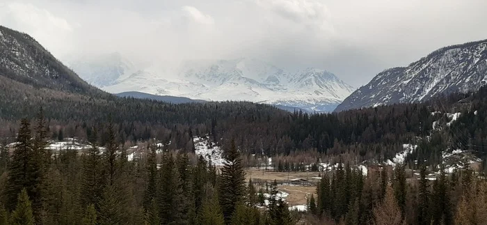 Happiness is near) - My, Altai Mountains, Happiness, Travel across Russia, Longpost