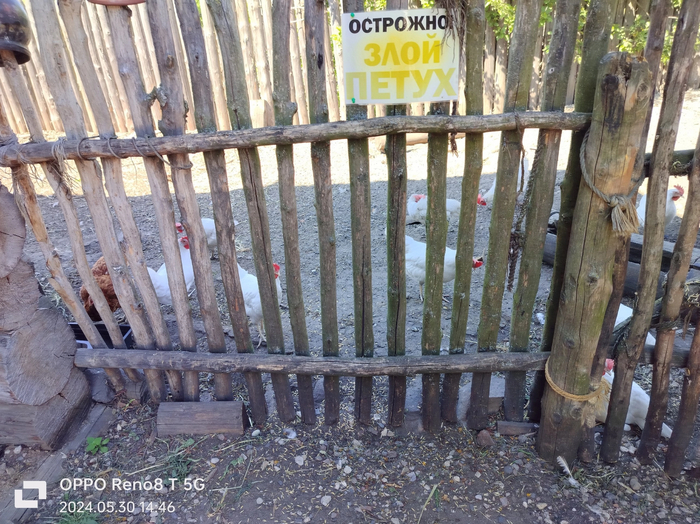 Усадьба средневекового рушанина