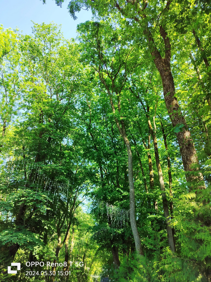 В парке курорта "Старая Русса"