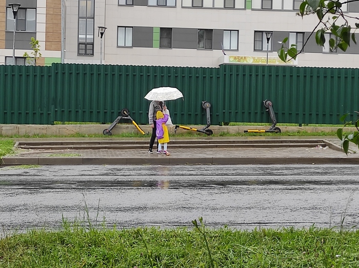  ,         ,       ,     .