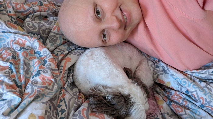 ��� ������ ���� �������