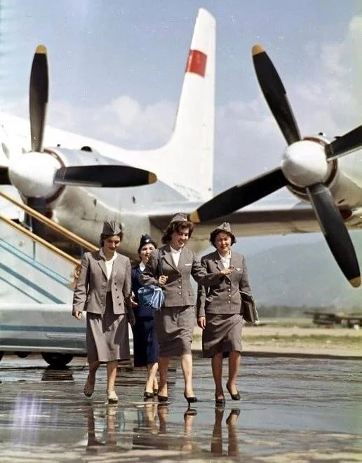 Female flight attendants, Alma-Ata, USSR, 1961 - Girls, Flight attendant, Retro, Telegram (link), Stewardess, Vintage, the USSR, Childhood in the USSR, Made in USSR, The airport, Airplane