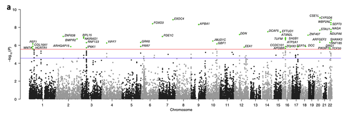 Скриншот. <a href="https://pikabu.ru/story/pravda_li_chto_intellekt_peredayotsya_rebyonku_ot_materi_11505250?u=https%3A%2F%2Fwww.nature.com%2Farticles%2Fng.3869&t=%D0%98%D1%81%D1%82%D0%BE%D1%87%D0%BD%D0%B8%D0%BA&h=3565c1721b2c7e174d8e07ffe98c1f75ef05027e" title="https://www.nature.com/articles/ng.3869" target="_blank" rel="nofollow noopener">Источник</a>
