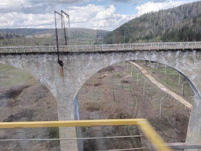 ����� �������� ����