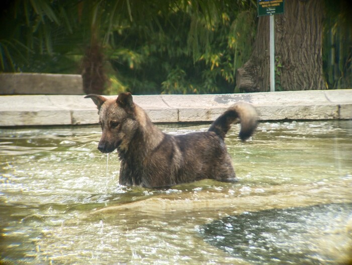 �������� �� �����