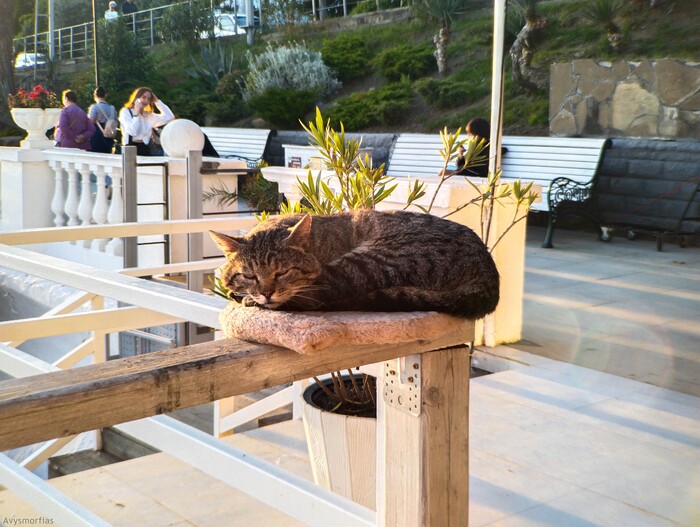 � ���������� ������ ������ ��� ����������