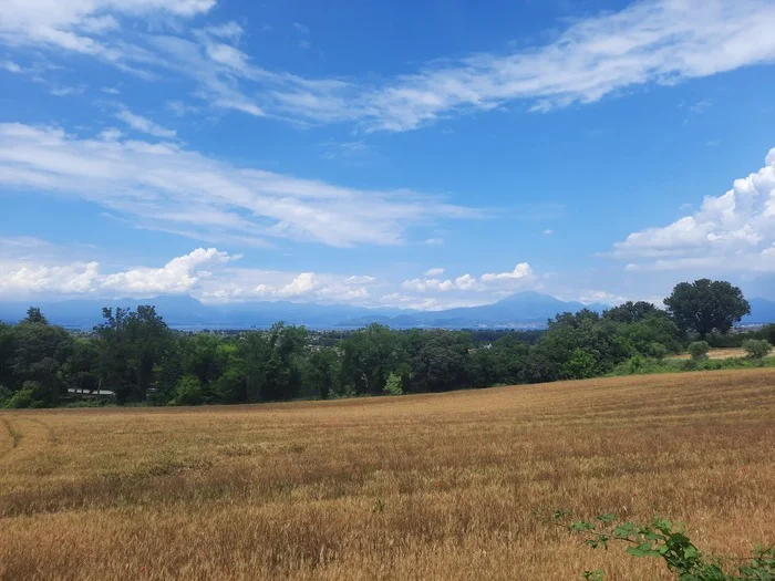 Field - My, Travels, Italy, Nature, Landscape, The photo