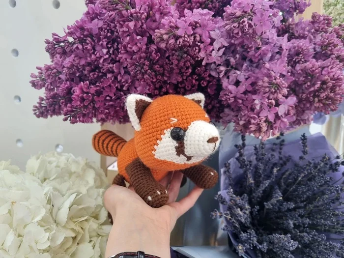 Red panda in Red color - My, Knitting, Knitted toys, Amigurumi, With your own hands, Hook, Needlework, Needlework without process, Author's toy, Toys, Soft toy, Panda, Red panda, Presents, Creation, Longpost
