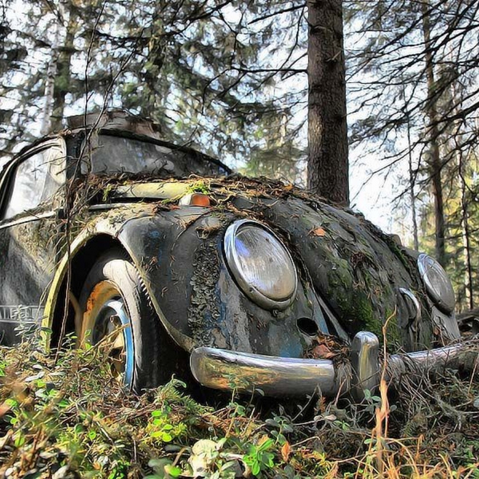 -  ,      , ,  , Volkswagen Beetle