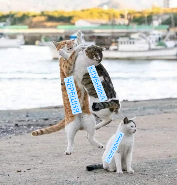   ... )))