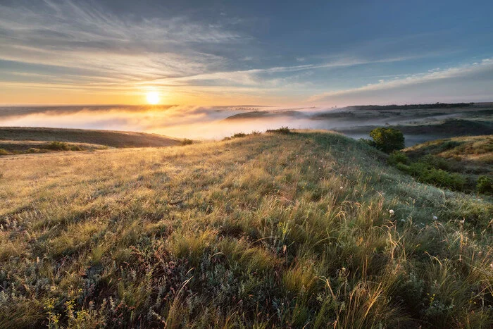 Foggy morning - My, Steppe, Rostov region, Fog, The photo