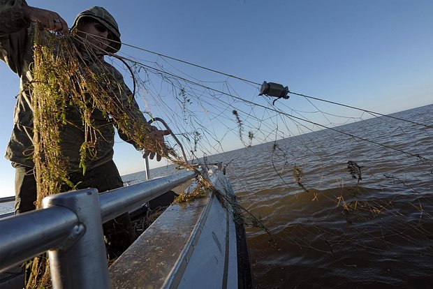 The head of the Russian Republic of Komi asked residents of the region to give fishing nets to the Russian army - news, Politics, Komi, Fishing gear, Networks, Telegram (link)