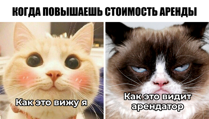    :     , , , ,  , ,  