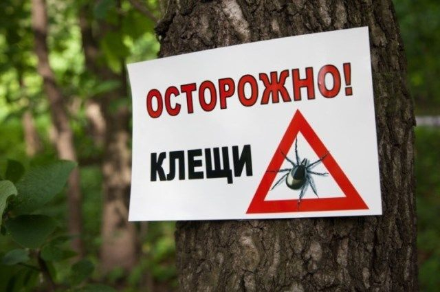 Why were there no ticks in the USSR, but now there are a million ticks crawling across Russia? - История России, Informative, Mite, Protection against ticks, the USSR, Longpost, Repeat
