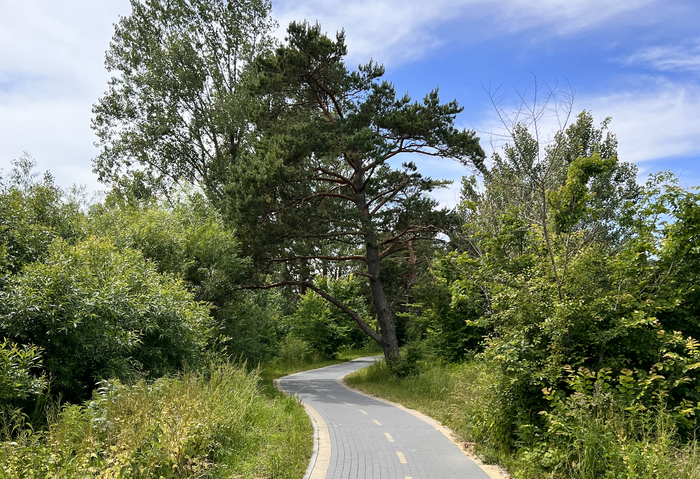 Как выглядит самая длинная и красивая велодорожка России. Прокатился на велосипеде по побережью Калининградской области Путешествие по России, Велопрогулка, Планирование путешествия, Калининградская область, Длиннопост