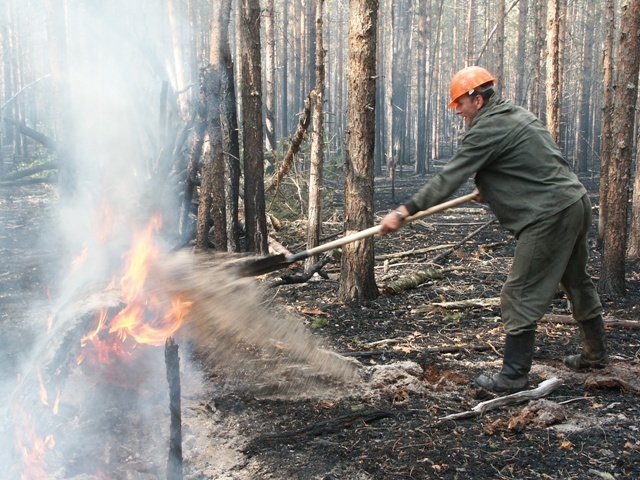 Forest fire in Tolyatti in 2010 - My, Fire, The rescue, Smoke, Evacuation, self-rescuer, Danger, Video, Youtube, Longpost, Forest fires