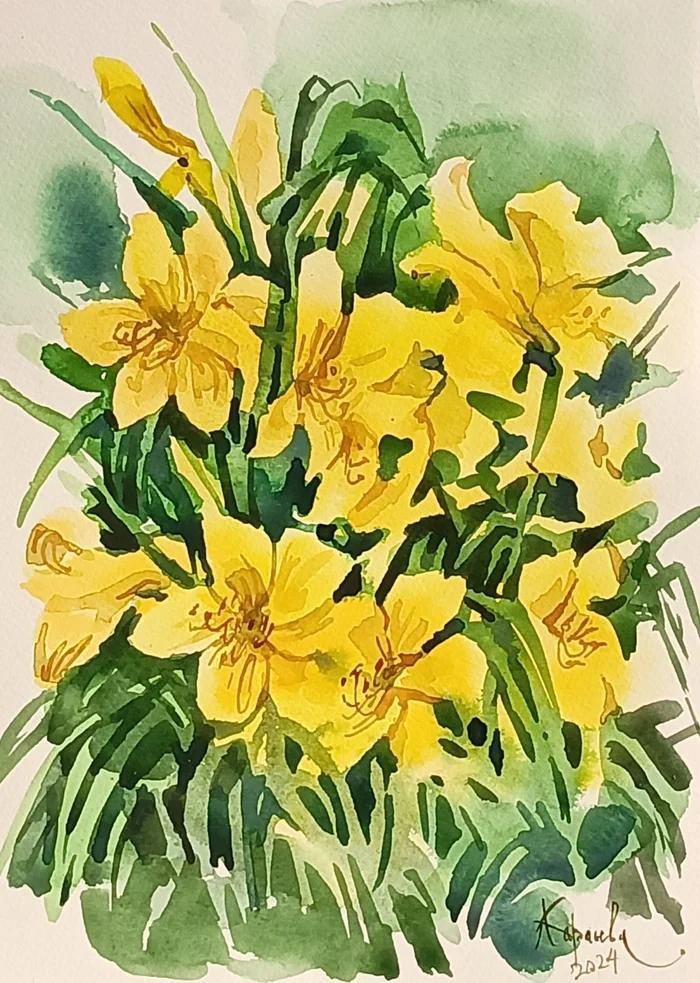 Sketches of flowers from nature - My, Watercolor, Traditional art, Artist, Peonies, Daylily, Etude, Longpost