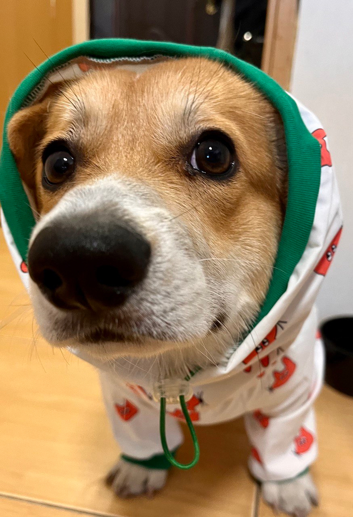 �������� ��� ������