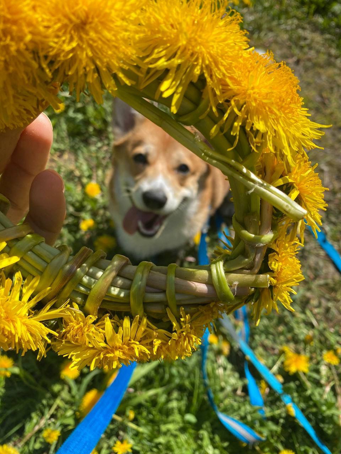 ������ ����� ������