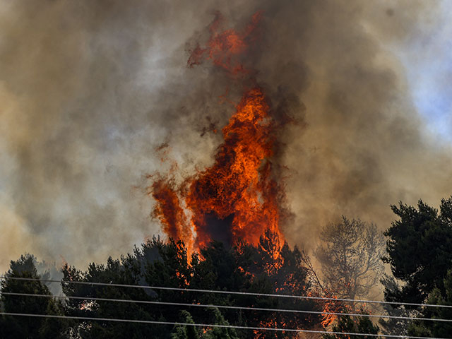 Israel is on fire: 45 thousand dunams of scorched earth in two weeks. Photo report - Israel, news, Fire, Politics, Longpost