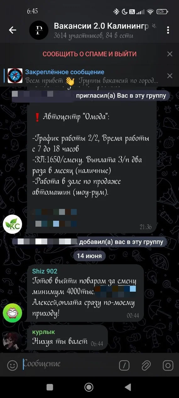 Утром стулья, вечером деньги - Моё, Скриншот, Работа, Хитрость, Поиск работы, Чат