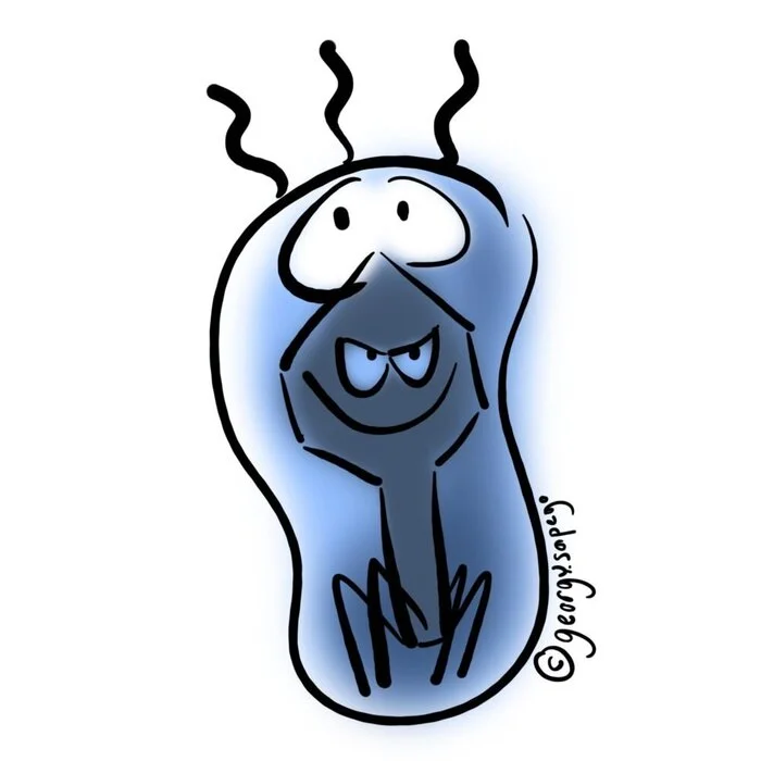 Phages attack only bacteria, but are very harmful to humans - My, Health, The medicine, The science, Infection, Virus, bacteriophage, Disease, Longpost