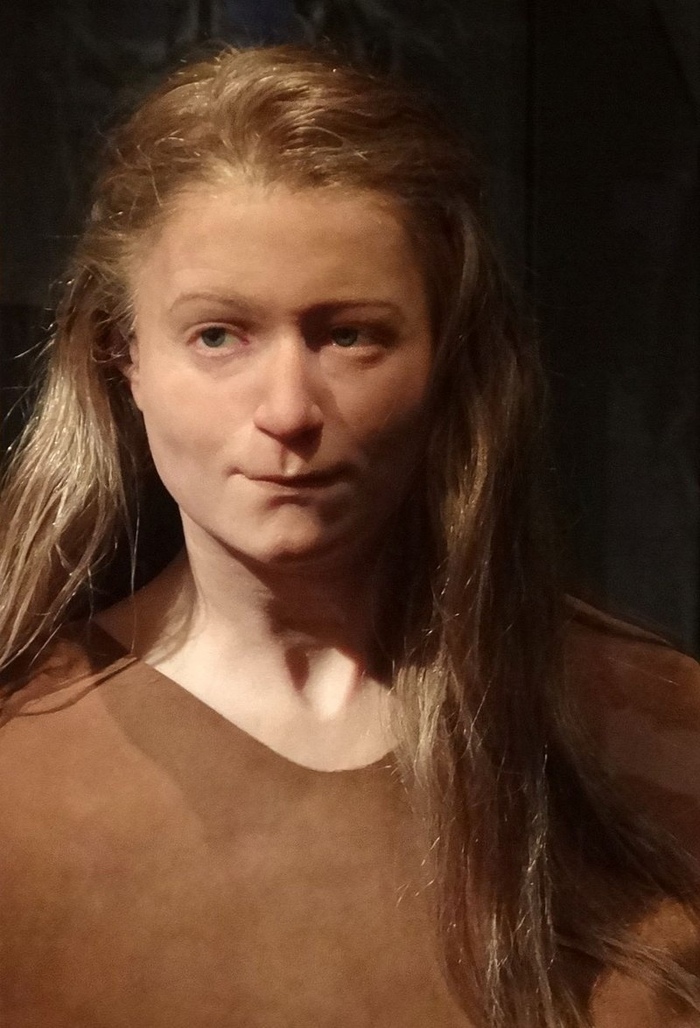 Реконструкция облика