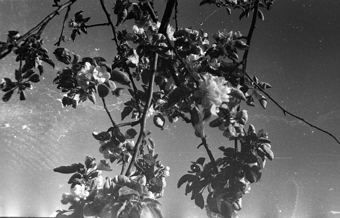 � ���� ����� ������������ �����, ��������� ������